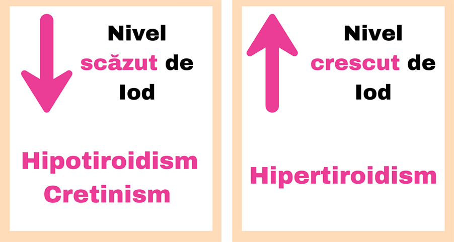 Cum afectează iodul tiroida